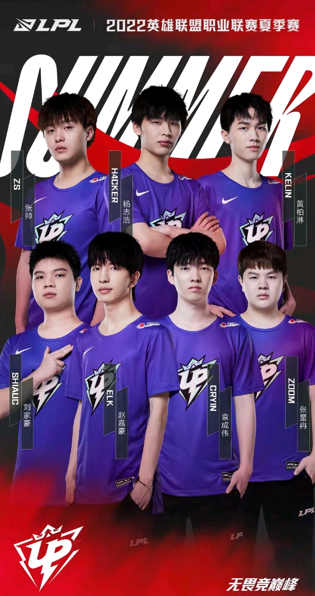 数据显示 数据显示